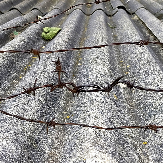 Fotografía del tejado de una chavola precaria donde cruza un cable de alambre de espino de punta a punta. Está oxidado y el tejado es gris. La única nota de color es una hoja verde que arrastró el viento.