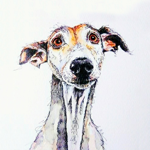 Ilustración frontal de la cara de una perra de raza Galgo.